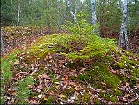 2003.11.07_18-Heltermaa.jpg